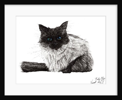 Baby blue eyes by Vincent Alexander Booth