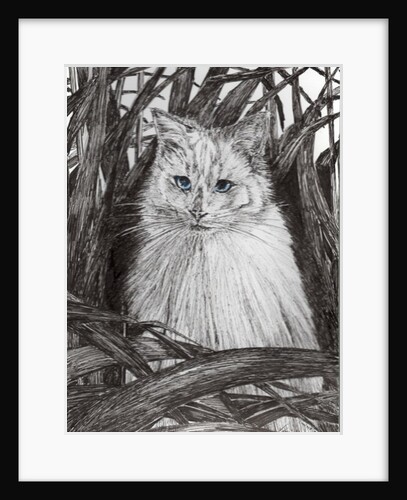 Jungle Monty, 2015 by Vincent Alexander Booth