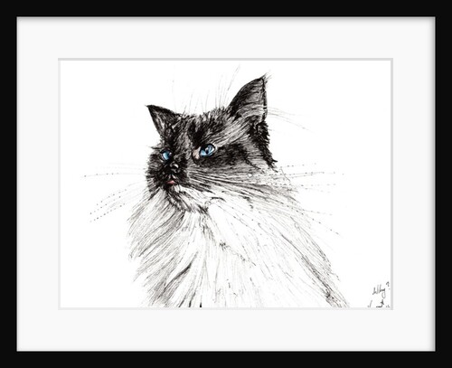 Why?, 2016 by Vincent Alexander Booth