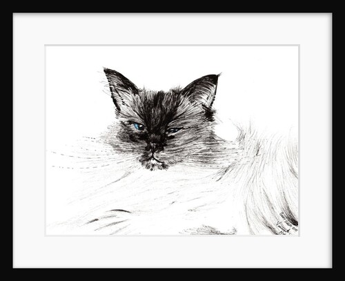 Sleepy eye, 2015 by Vincent Alexander Booth