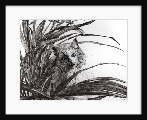 Monty plant, 2015 by Vincent Alexander Booth