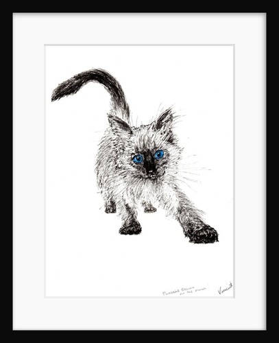 On the prowl !, 2015 by Vincent Alexander Booth