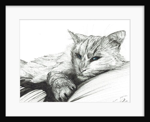 Monty napping, 2016 by Vincent Alexander Booth