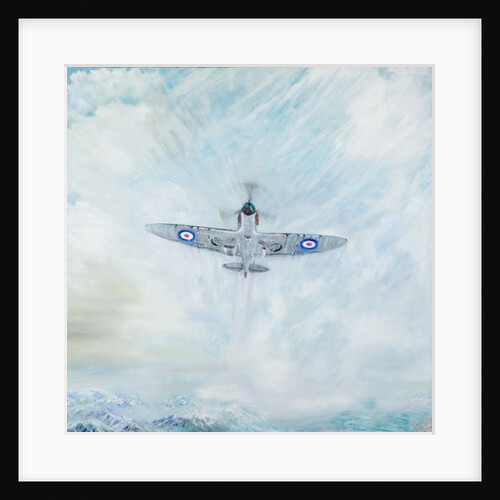 Spitfire 'Ace of Spades', 2016 by Vincent Alexander Booth