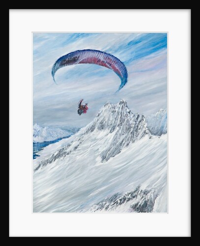 Antarctic Flier, 2015 by Vincent Alexander Booth