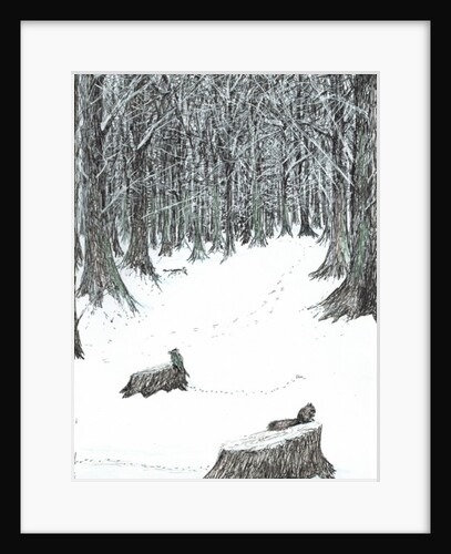 The Castle in the Forest of Findhorn, snow stumps, 2006 by Vincent Alexander Booth