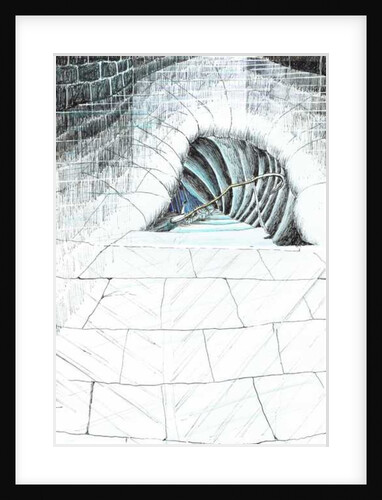 The Castle in the Forest of Findhorn, cellar steps, 2006 by Vincent Alexander Booth