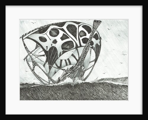 Storm Creators Somov Sea, 2017 by Vincent Alexander Booth