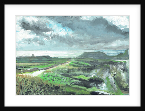 Gower Point, 1991 by Vincent Alexander Booth