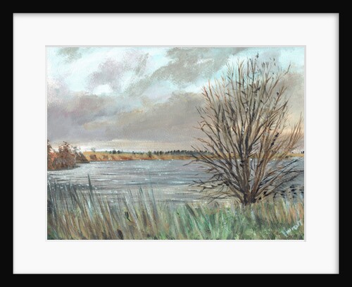 Fannyside Loch, 2009 by Vincent Alexander Booth