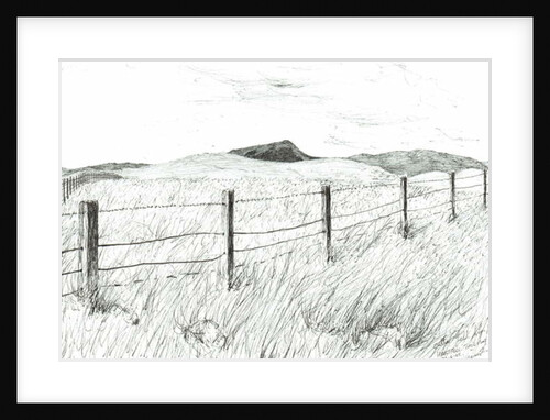 Culter Fell from Hartfell, 2005 by Vincent Alexander Booth