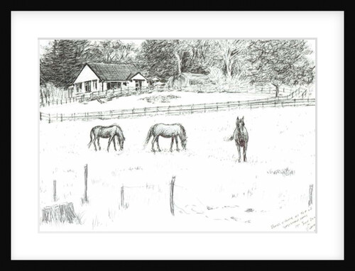 Horses at top of lane, 2008 by Vincent Alexander Booth