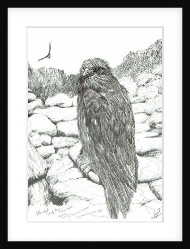 Eagles of the Highlands, 2011 by Vincent Alexander Booth