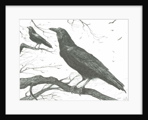 Observers, 2011 by Vincent Alexander Booth