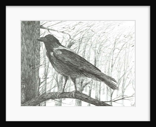 Bird, 2011 by Vincent Alexander Booth