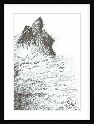 Baby keeps warm New Year, 2005 by Vincent Alexander Booth