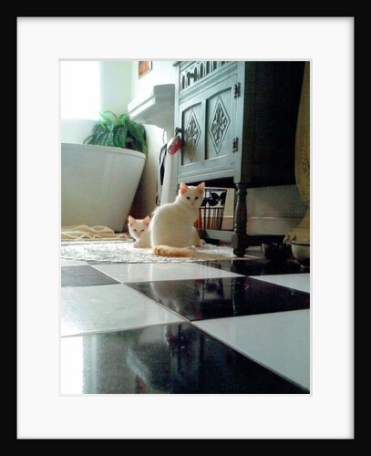 Puddy cats, 2017 by Vincent Alexander Booth