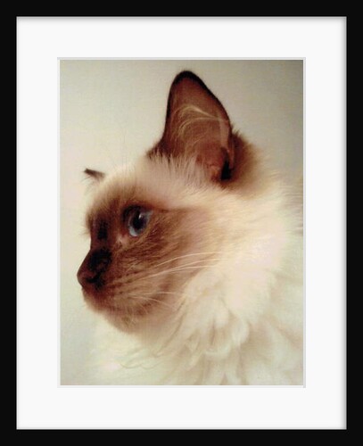 Girl, 2019 by Vincent Alexander Booth