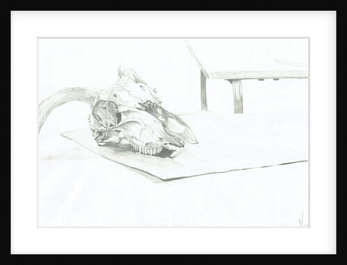 Skull, 1996, by Vincent Alexander Booth