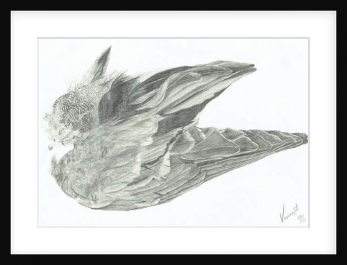 Wing, 1996 by Vincent Alexander Booth