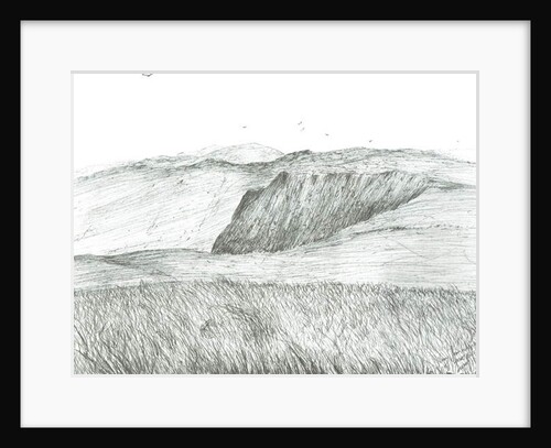 Slopes of Hartfell, 2003 by Vincent Alexander Booth