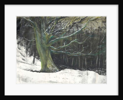 Tree in winter snow at Osmotherley woods, 1997 by Vincent Alexander Booth