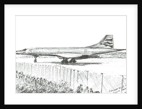 Concord's last landing, 2003 by Vincent Alexander Booth