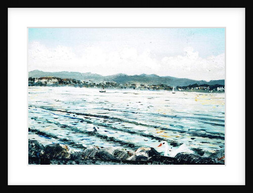 Swan on lake, 2010 by Vincent Alexander Booth