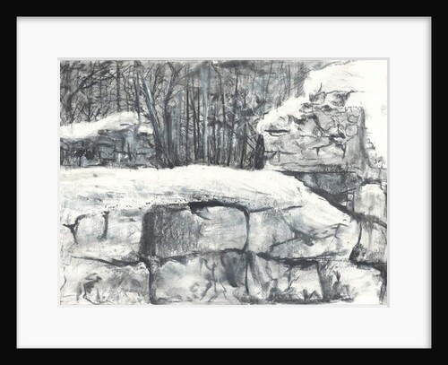 Wall in the Woods Osmotherley, 1997 by Vincent Alexander Booth