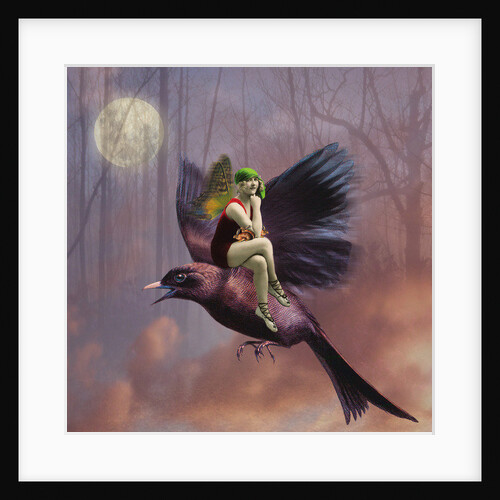 Flight, 2014 by Olga Snell