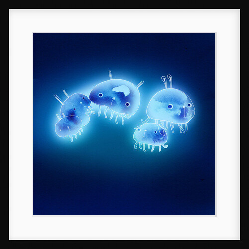 Jelly fish, 2013 by Yoyo Zhao