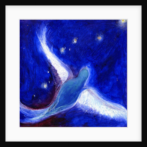 Star Bird, 2012 by Nancy Moniz Charalambous