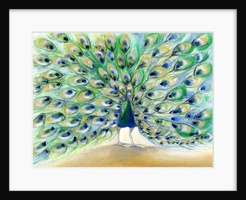 Peacock in San Diego 2, 2013 by Nancy Moniz Charalambous