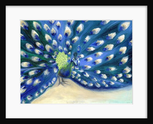 Peacock Eyes by Nancy Moniz Charalambous
