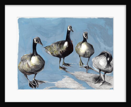 Friendly Canada Geese, 2018 by Nancy Moniz Charalambous