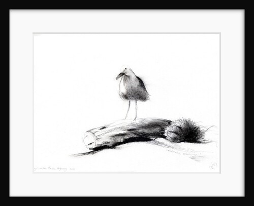 California Seagull, 2012 by Nancy Moniz Charalambous
