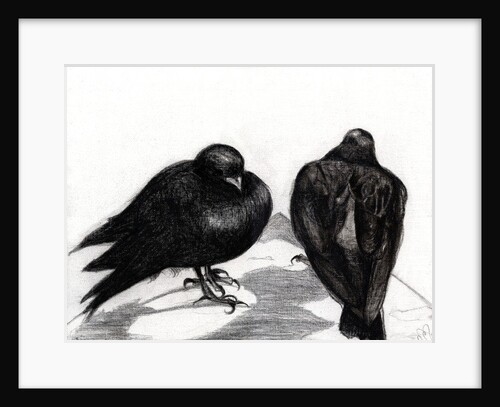 Serious Pigeon Situation, 2012 by Nancy Moniz Charalambous