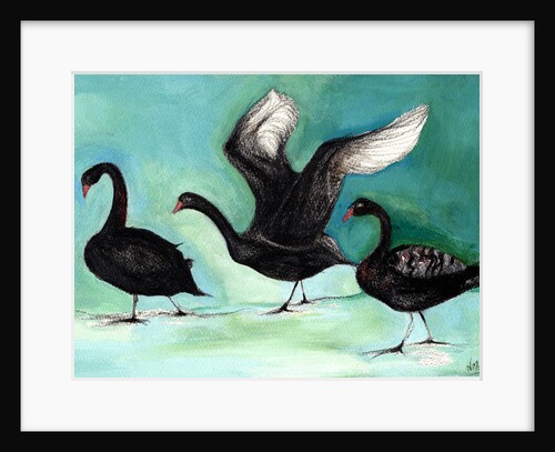 A ballet of Black Swans, 2013 by Nancy Moniz Charalambous