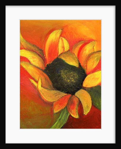 September Sunflower, 2011 by Nancy Moniz Charalambous