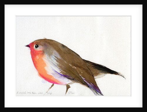 A magical little robin called Wisp, 2011 by Nancy Moniz Charalambous