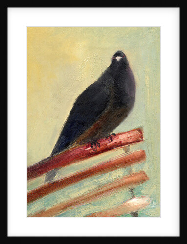 Kingly Court Pigeon, 2013 by Nancy Moniz Charalambous