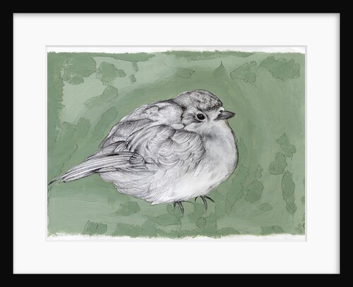 Plump Little Robin, 2012 by Nancy Moniz Charalambous
