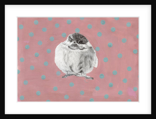 Chubby little bundle, 2014 by Nancy Moniz Charalambous