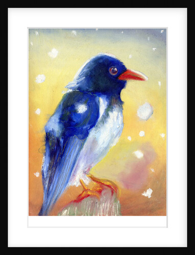 Red Billed Magpie with snow drops , 2012 by Nancy Moniz Charalambous