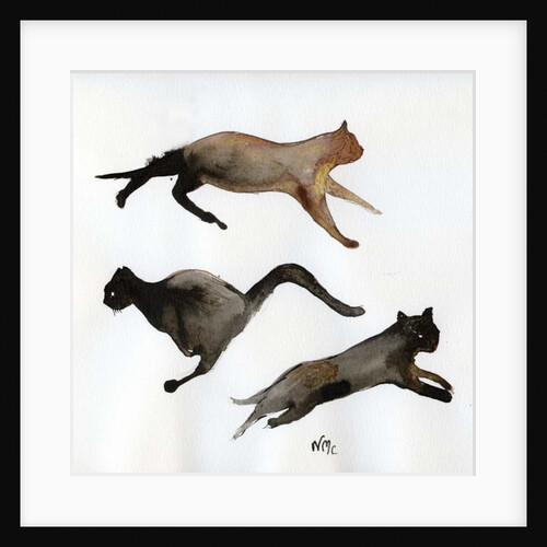 Run Cat Run, 2017 by Nancy Moniz Charalambous