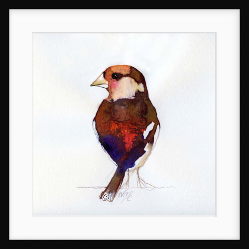 Blushing Hawfinch, 2017 by Nancy Moniz Charalambous