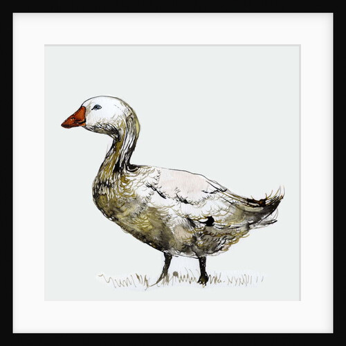 Filthy Goose, 2017 by Nancy Moniz Charalambous