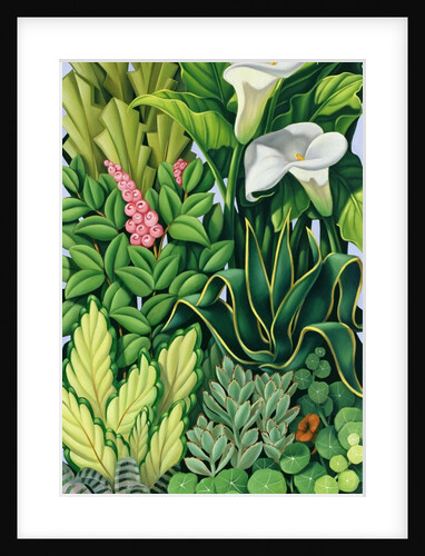 Foliage I, 2003 by Catherine Abel