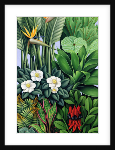 Foliage II, 2005 by Catherine Abel