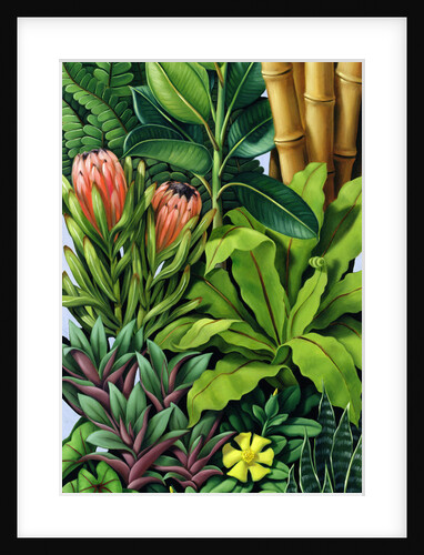 Foliage III, 2005 by Catherine Abel